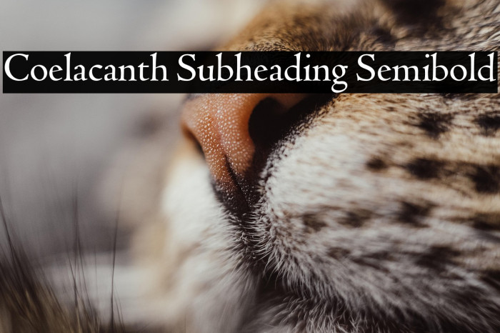 Coelacanth Subheading Semibold Example 1