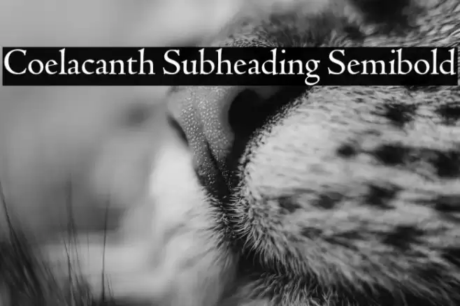 Coelacanth Subheading Semibold Font examples