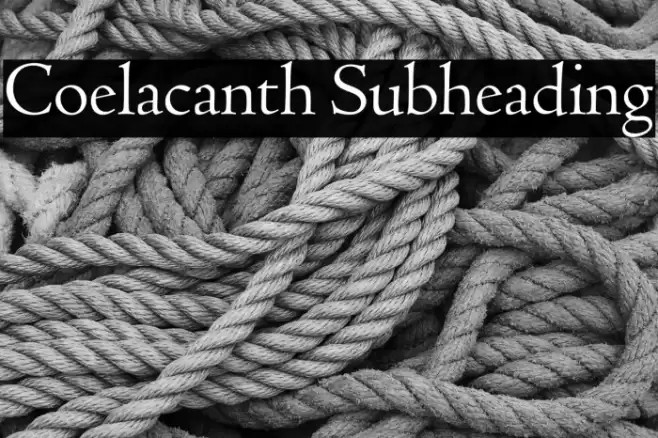 Coelacanth Subheading Font examples