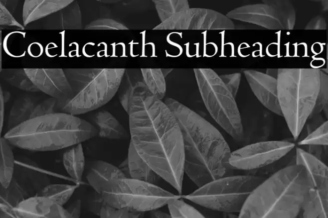 Coelacanth Subheading Font examples