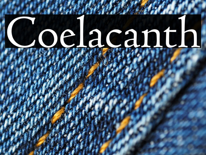 Coelacanth Example 1