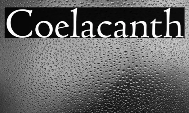 Coelacanth خط examples