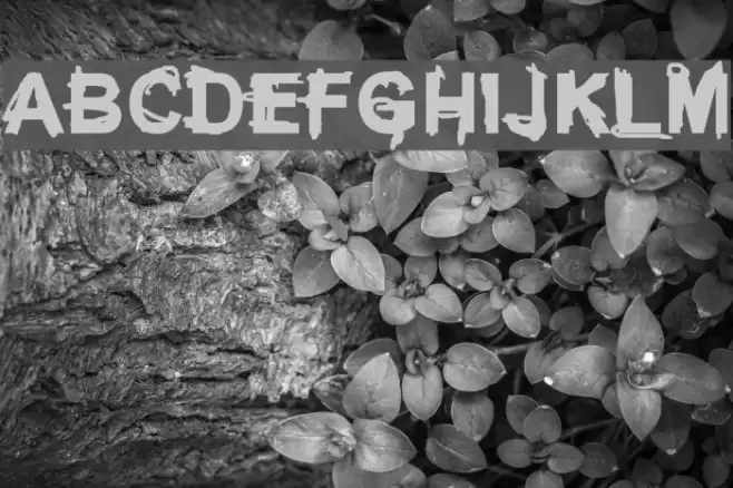 Coercion Regular Font examples