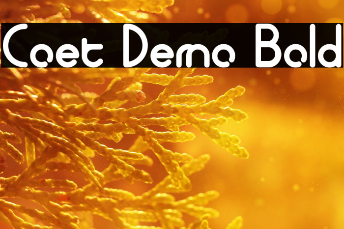 Coet Demo Bold Example 1