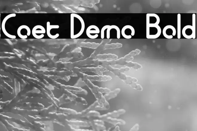 Coet Demo Bold Font examples