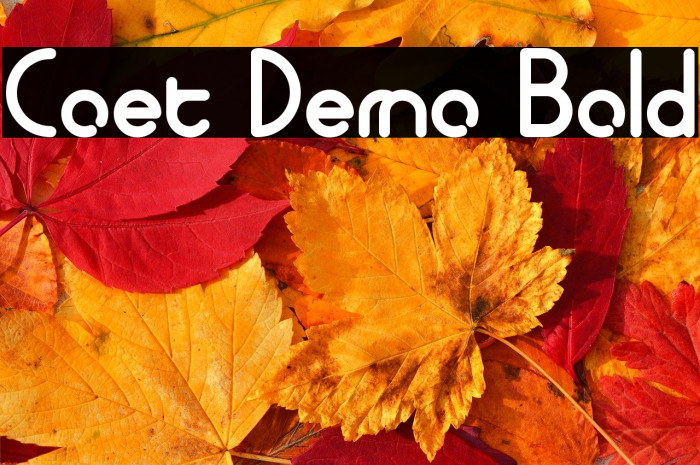 Coet Demo Bold Example 2