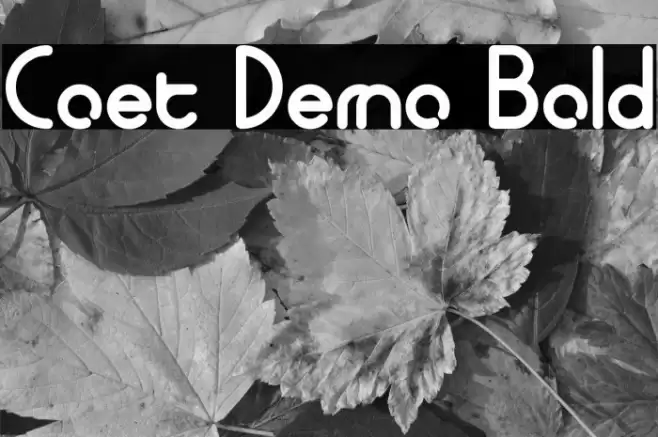 Coet Demo Bold Font examples