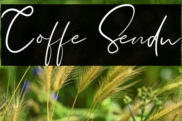 Coffe Sendu Example 2