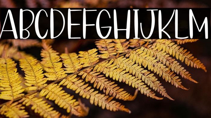 Coffee Bean Example 1