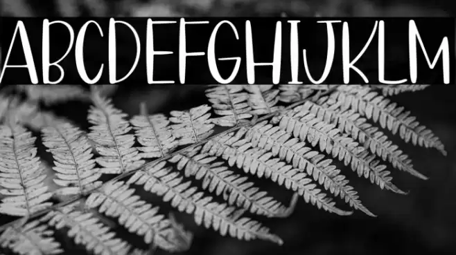 Coffee Bean Font examples