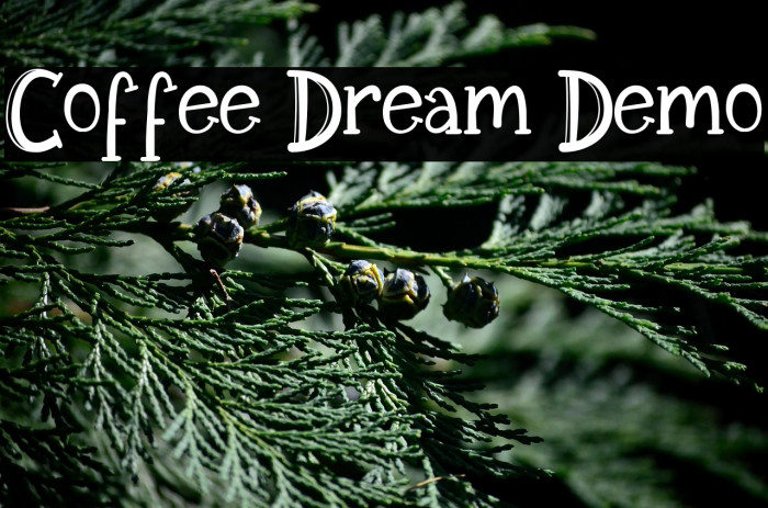 Coffee Dream Demo Example 1
