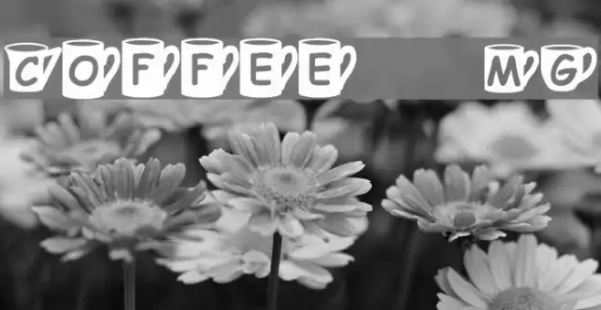 Coffee  Mugs Font examples