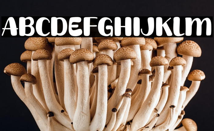 Coffee Normal Example 3