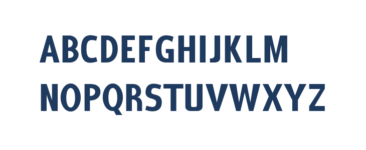 Coffee Shop Bold Small Cap Lowercase