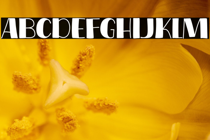 Coffee Show Example 1