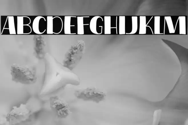 Coffee Show Font examples