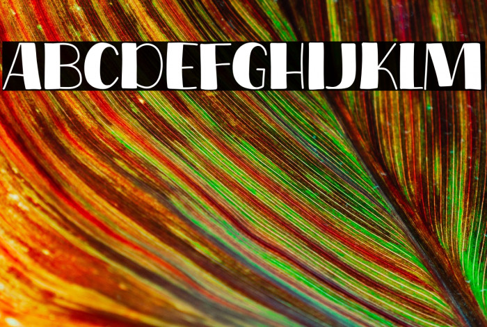 Coffee Show Example 2