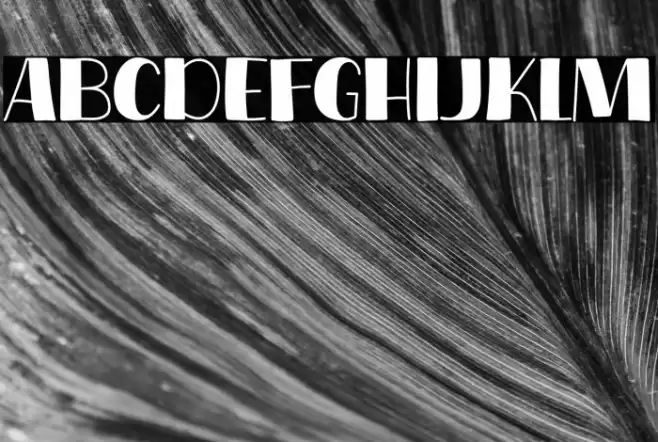 Coffee Show Font examples