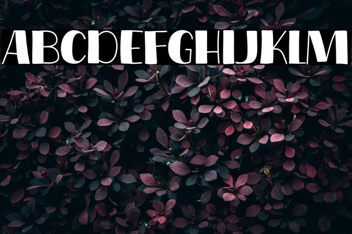 Coffee Show Example 3