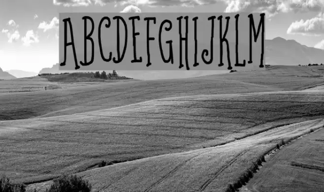 Coffee Written Bold Font examples