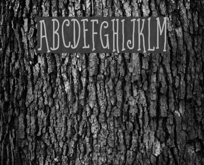 Coffee Written Bold Font examples