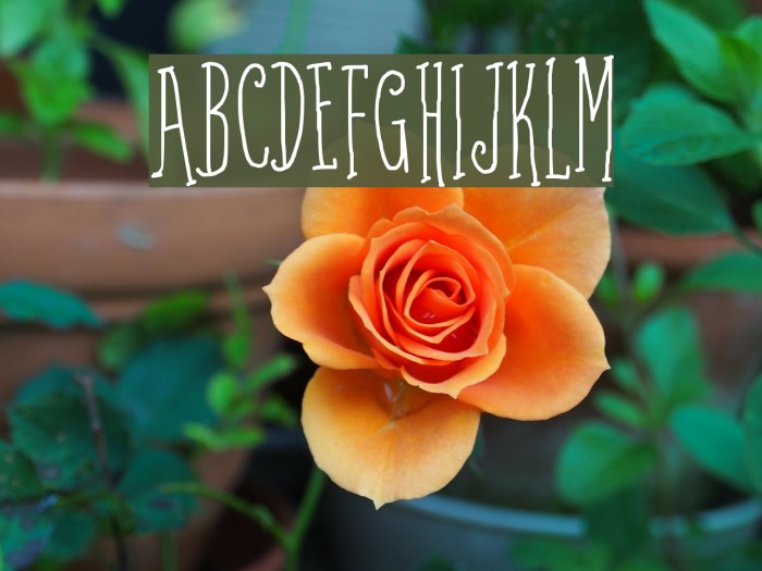 Coffee Written Example 1