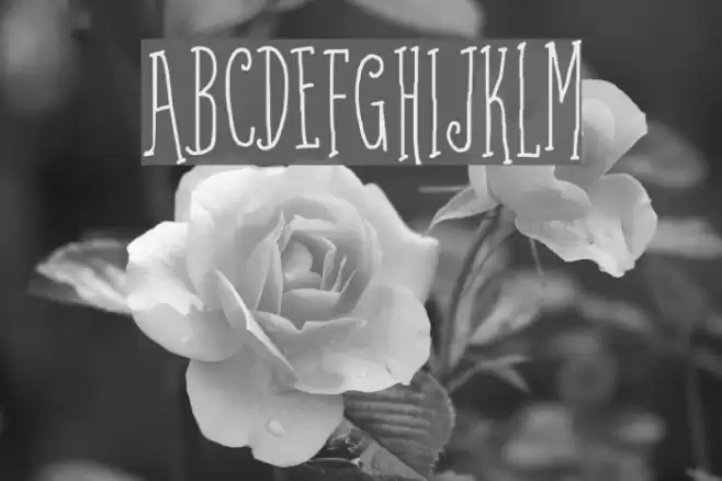 Coffee Written Font examples