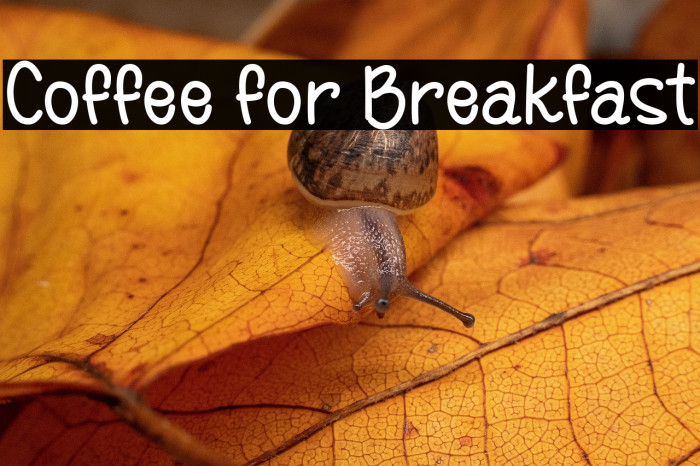 Coffee for Breakfast Example 1