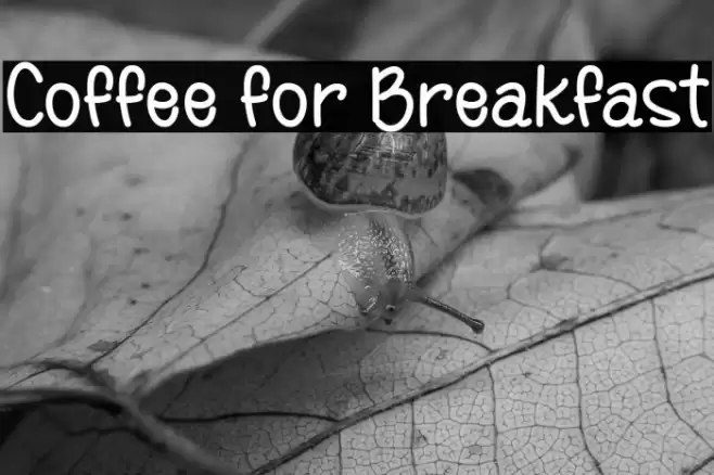 Coffee for Breakfast Font examples