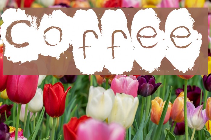 Coffee Font examples