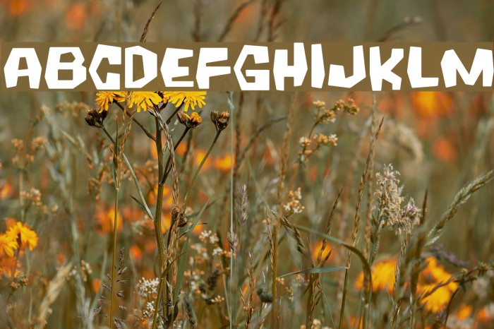 Coffeehouse Medium Example 3