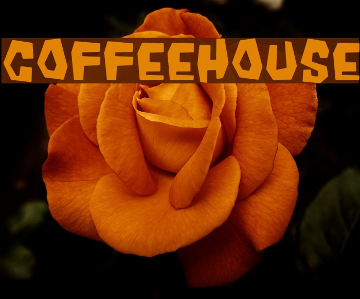 Coffeehouse Font examples