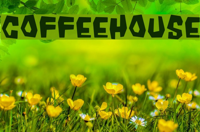 Coffeehouse Font examples