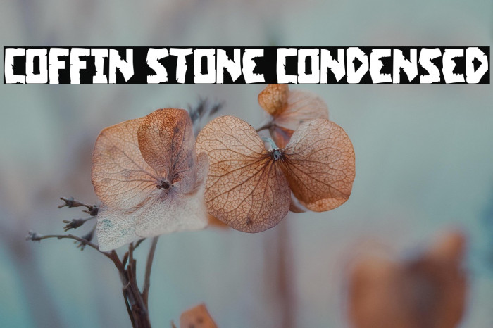 Coffin Stone Condensed Example 1