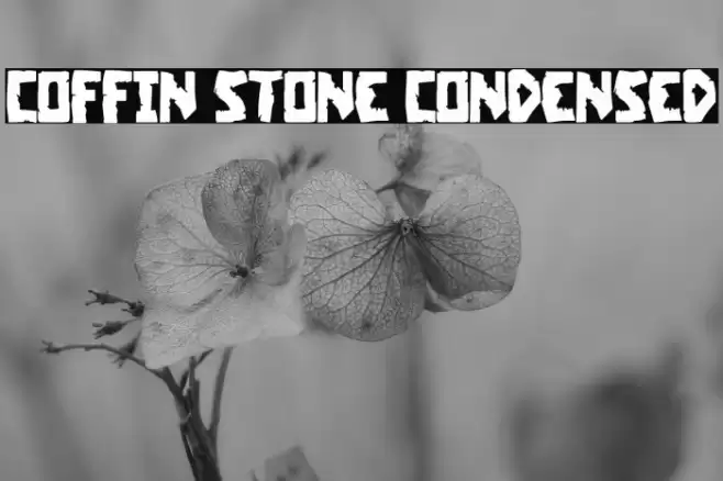Coffin Stone Condensed Font examples