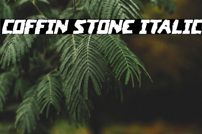 Coffin Stone Italic Example 3