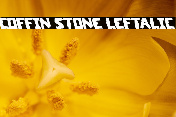 Coffin Stone Leftalic Example 2