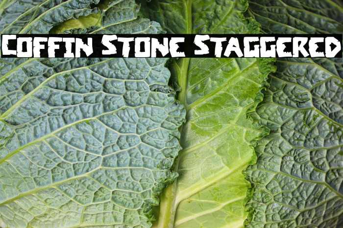 Coffin Stone Staggered Example 2