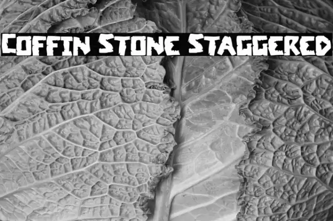 Coffin Stone Staggered Font examples