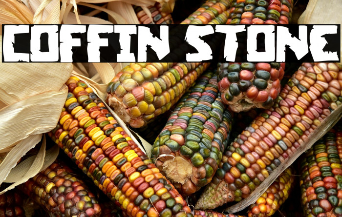 Coffin Stone Example 1