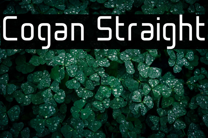 Cogan Straight Example 2