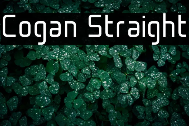 Cogan Straight Example 2