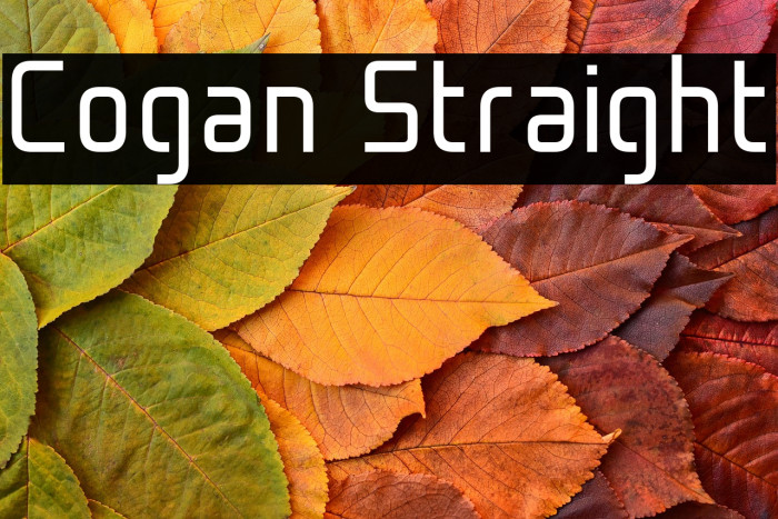 Cogan Straight Example 3