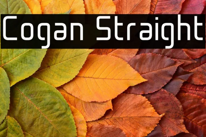 Cogan Straight Example 3
