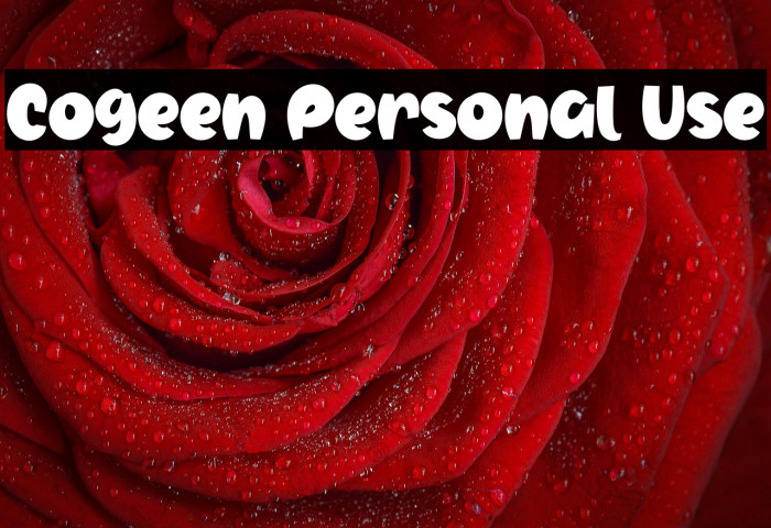 Cogeen Personal Use Example 2