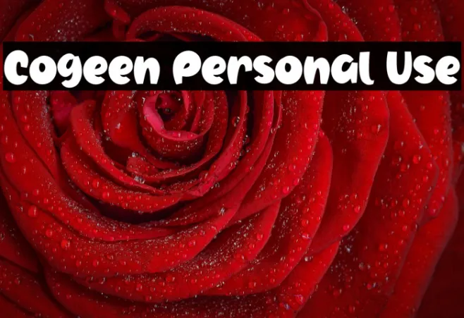 Cogeen Personal Use Example 2
