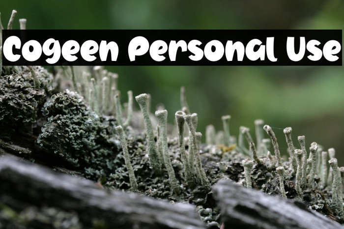 Cogeen Personal Use Example 3