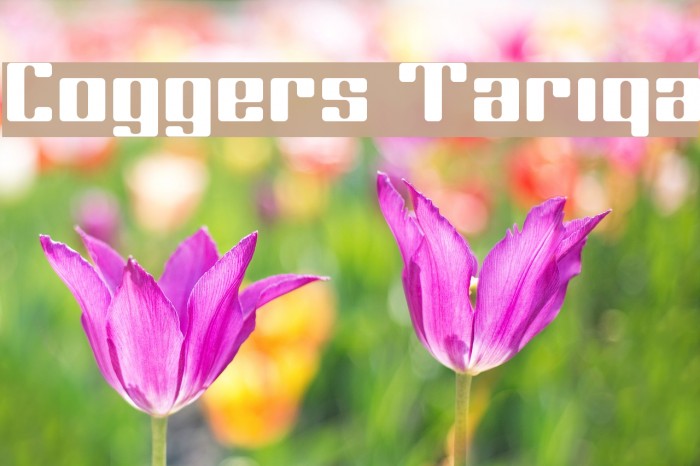 Coggers Tariqa Font examples