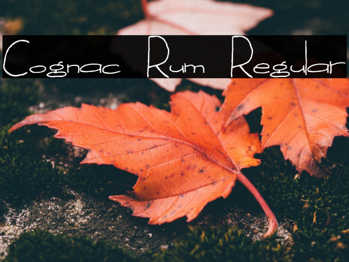 Cognac Rum Regular Font examples