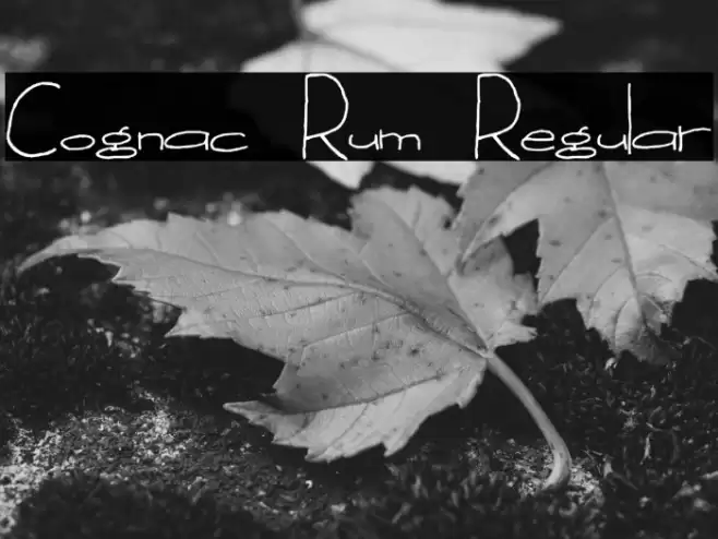Cognac Rum Regular خط examples